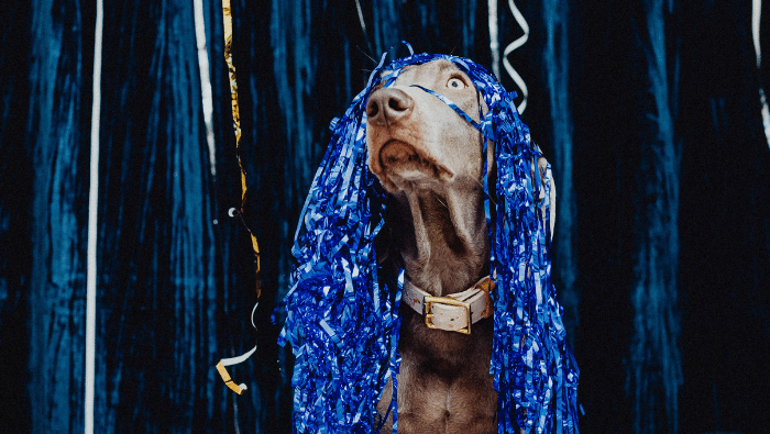 CC Banner 2526 site web 7