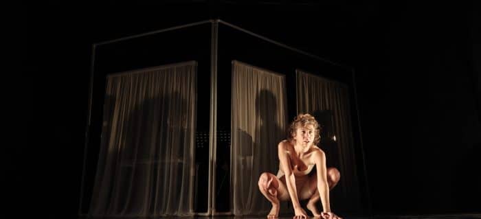CD21 PIG BOY 1986 2358 P3 © Mailis Donnet 2