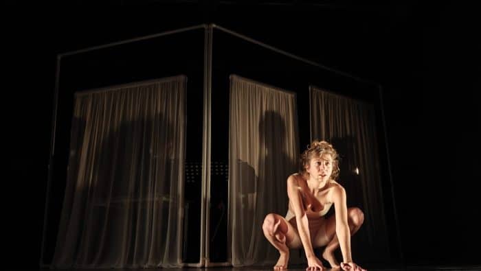 CD21 PIG BOY 1986 2358 P3 © Mailis Donnet 2